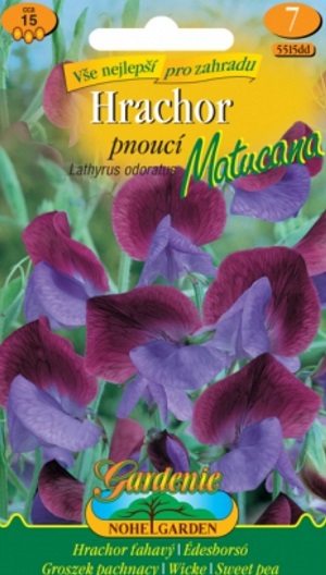 Hrachor vonný pnoucí fialovo-modrý, Mutacana (semena)