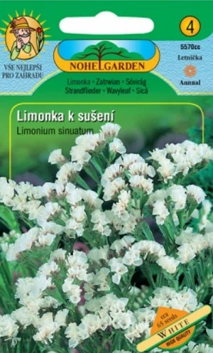 Limonka k sušení bílá (semena)