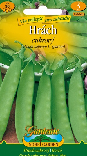 Hrách cukrový (semena)