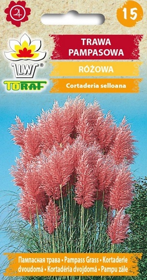 Kortaderie dvoudomá růžová (semena)