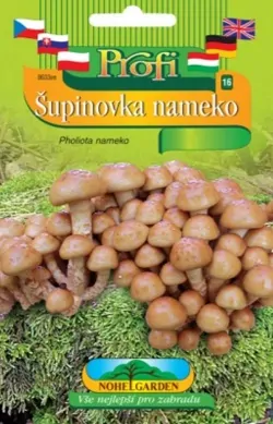 Šupinovka nameko, sadba