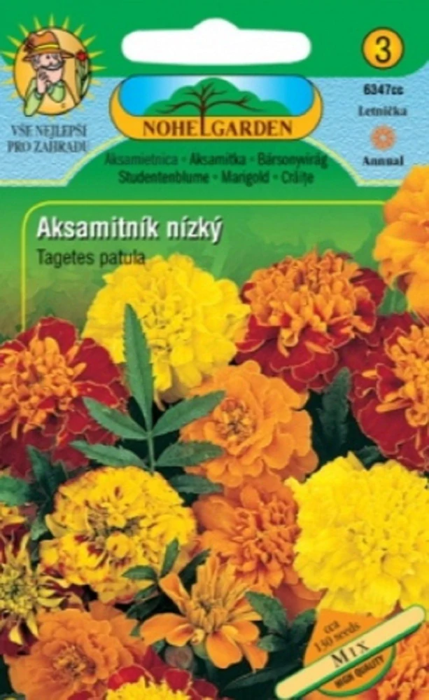 Aksamitník rozkladitý nízký plnokvětý směs (semena)