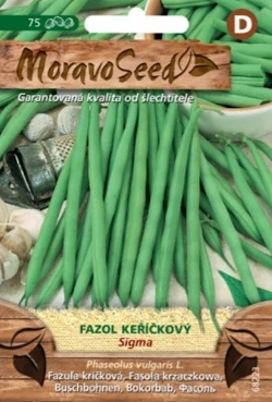 Fazol keříčkový zelený (semena)