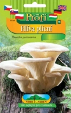 Hlíva plicní, sadba