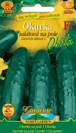 Okurka nakládačka Obelix (semena)