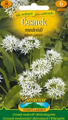 Medvědí česnek (semena)