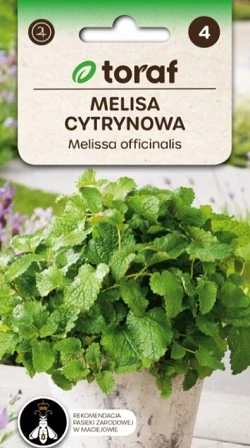 Meduňka lékařská (semena)