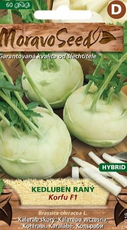 Kedluben k rychlení Korfu (semena)