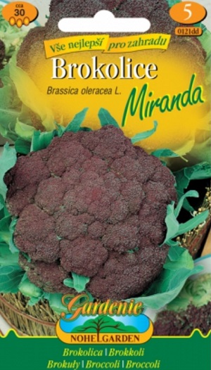 Brokolice, Miranda (semena)