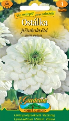 Ostálka jiřinkokvětá, Bílá (semena)