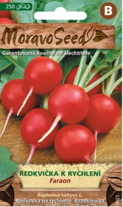 Ředkvička k rychlení, Faraon (semena)