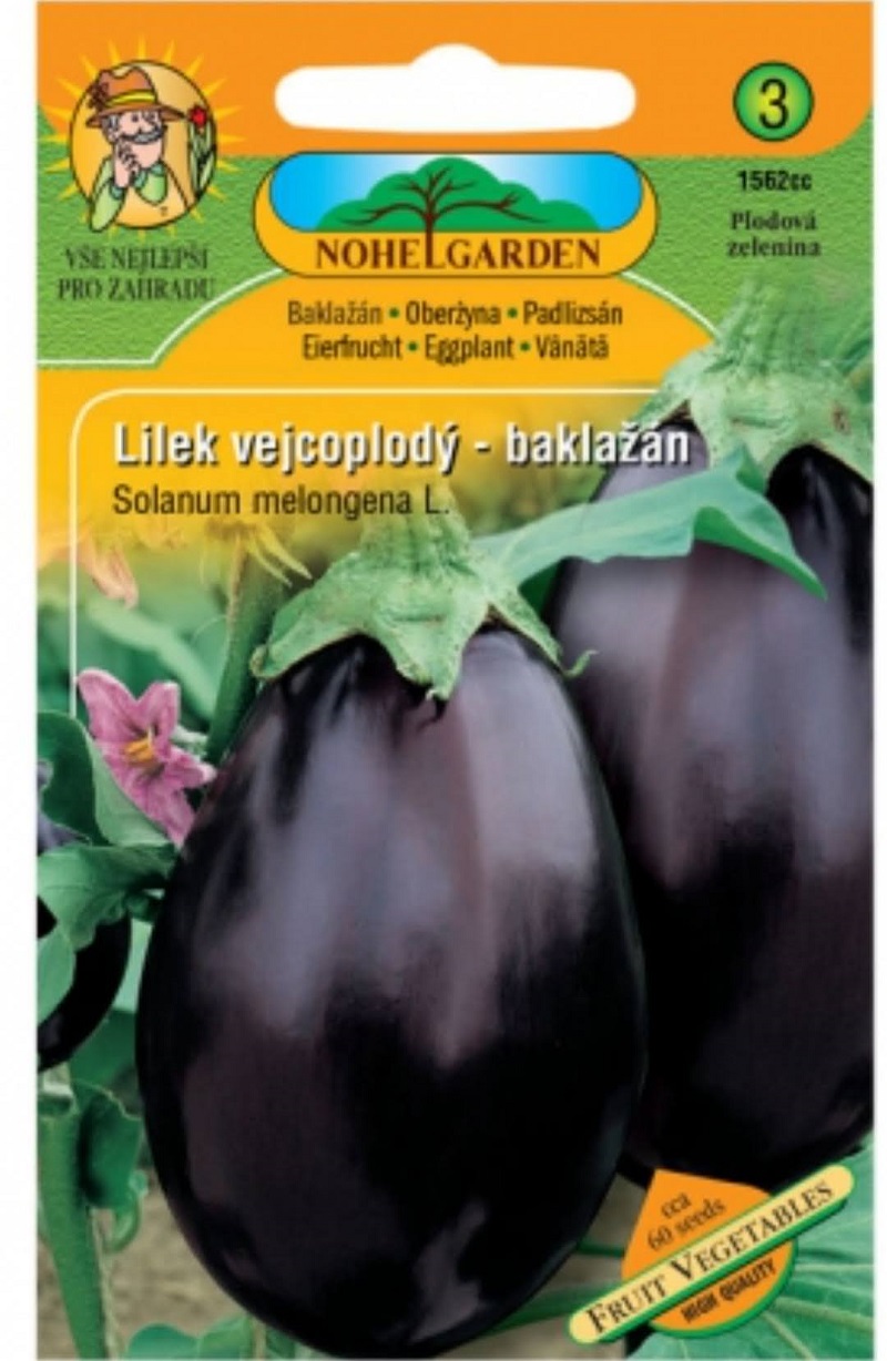 Lilek vejcoplodý baklažán, fialový (semena)