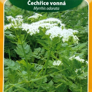 Čechřice vonná (semena)