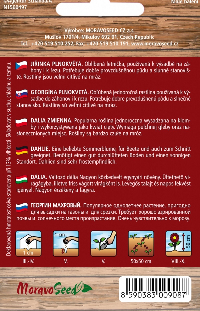 Jiřinka plnokvětá směs (semena)
