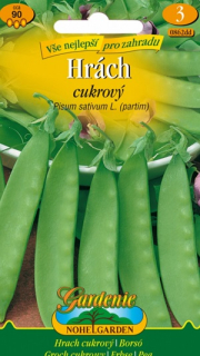 Hrách cukrový (semena)