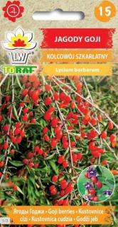 Kustovnice cizí (semena)