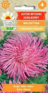 Astra čínská jehlicovitá růžová Walentýna (semena)