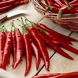 Chilli paprička Rosso (semena)