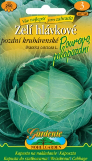 Zelí hlávkové, Pourovo polopozdní (semena)