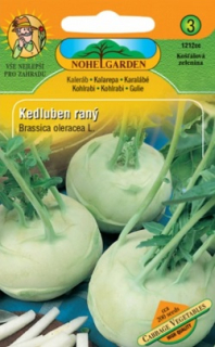 Kedluben raný, bílý (semena)