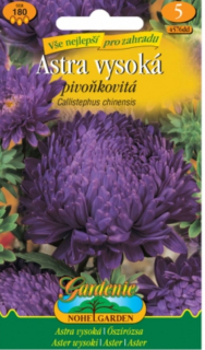 Astra vysoká pivoňkovitá, modrá (semena)