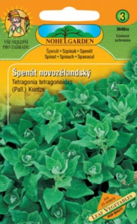 Špenát Novozélandský (semena)