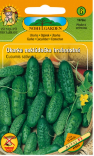 Okurka nakládačka, Altaj (semena)