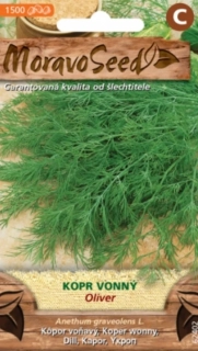 Kopr vonný Oliver (semena)