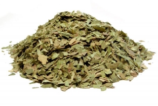 Ginkgo biloba listy, drcené (50g)
