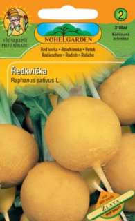 Ředkvička kulatá, Zlatá (semena)