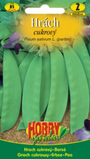 Hrách cukrový (semena)