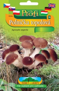Polnička topolová, sadba